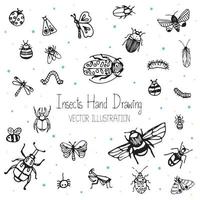 Cute kids hand drawn sets 26 species of insects bugs beetles and bees, vector illustration for print, background, and education.