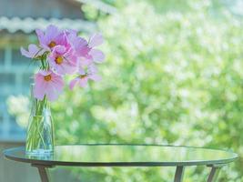 beautiful summer or spring green Sunny background, vase with flowers delicate pink cosmos photo