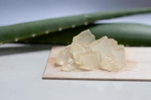 gel de aloe vera sobre placa de madera y fondo blanco, planta cosmética para la piel, tratamiento antibiótico tópico. foto