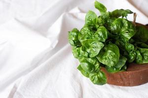 Watercress Nasturtium officinale vegetable on white background. photo