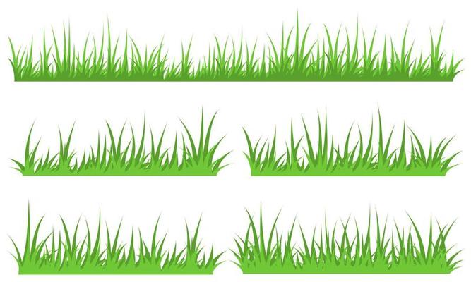 green grass border vector