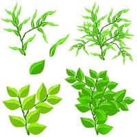 green bush vector, foliage herbs isolated vector