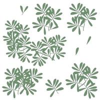 foliage silhouette, bush drawing isolated vector