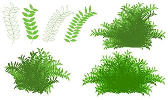 green bush drawing, herbs foliage vector
