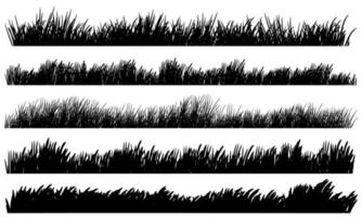 dibujo de hierba, banner de borde de hierba vector