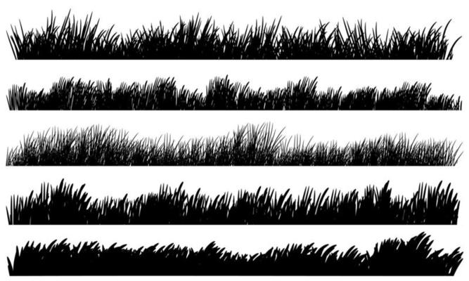 grass drawing, grass border banner