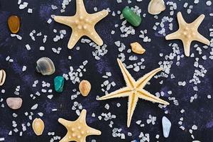 conchas marinas y estrellas de mar sobre fondo oscuro. vista superior