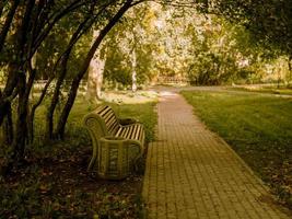 banco grande en el camino en el parque entre los árboles, fondo de otoño, camino foto