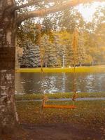 homemade swing from a Board and rope on a tree in a Park or garden, nobody, empty space, autumn background