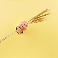 Female hand with spikelet on yellow background, copy space