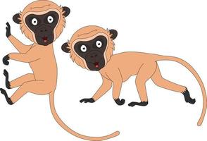 cute vervet monkey animal cartoon graphic vector