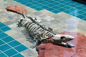 Los Ángeles, California, Estados Unidos, 2011. esqueleto de cocodrilo bajo el agua