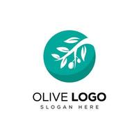 Olive oil organic logo design vector