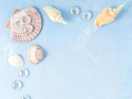 Mock up with frame of seashell on blue stone background, scallop shell, holiday by sea