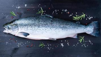 whole fresh raw big salmon fish