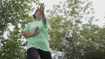 mulher asiática com excesso de peso, baby boom, fazendo artes marciais chinesas tai chi no parque, velhice sênior exercita vida saudável, movimento lento, relaxe meditação calma, mente, corpo e natureza sincronizados video