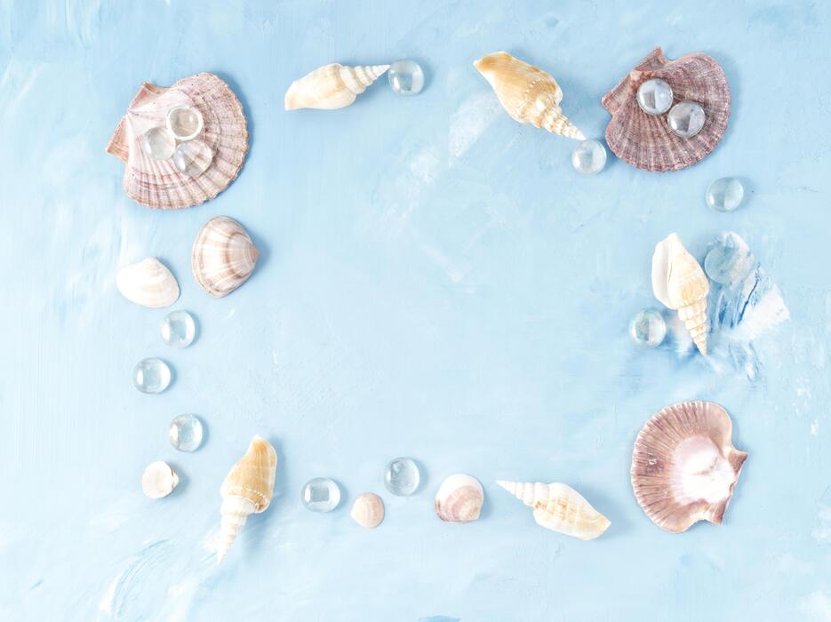 Seashell Frame Stock Photos, Images and Backgrounds for Free Download