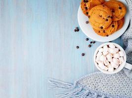 Chocolate chip cookies with cocoa, marshmallow. photo