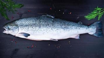 pescado de salmón grande crudo fresco entero