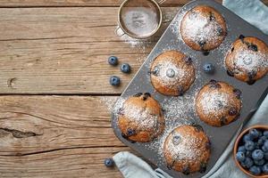 Blueberry muffin in tray, copy space. Cupcakes with berries in baking dish photo