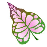 Colorful exotic leaf. vector