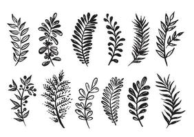 Branches collection hand drawn, vector. vector