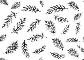 Branches collection hand drawn, vector. vector