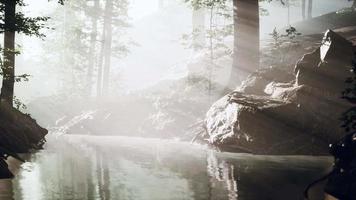 lagoa em uma floresta com nevoeiro