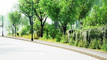 View of empty road with lamp post and sunlight video