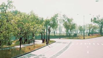 View of empty road with lamp post and sunlight video