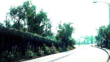 View of empty road with lamp post and sunlight video