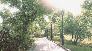 camino de piedra a través de un tranquilo parque verde video