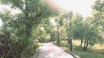 Stone Path through a Peaceful Green Park video