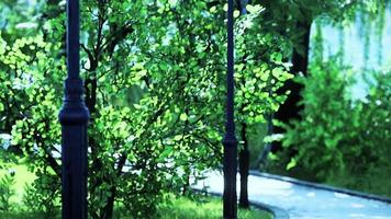 vista panorámica de un sinuoso camino de piedra a través de un tranquilo parque verde de la ciudad video