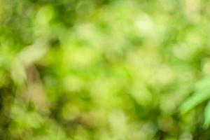 el concepto de diseño de temporada de efectos borrosos y desenfocados. Bokeh de color verde abstracto para el fondo de la naturaleza. la luz del día al aire libre y el aire es tan fresco foto