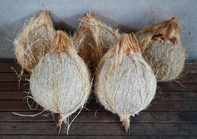 This old coconut will be processed by indonesian citizens into kueh or pudding etc. photo
