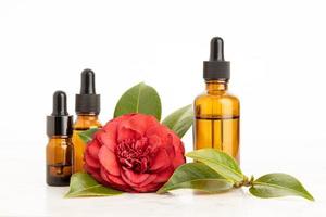 Camellia essential oil. Group of amber bottles and red camellia flower. Copy space