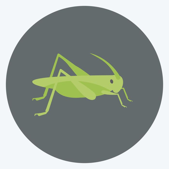 Locust Vector Art, Icons, and Graphics for Free Download