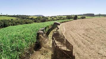 Sugar cane harvest in sunny day in Brazil. Aerial view. photo