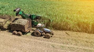 Sugar cane harvest in sunny day in Brazil. Aerial view. photo