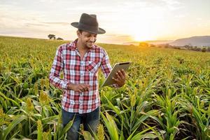 Agronomist holds tablet touch pad computer in the corn field and examining crops before harvesting. Agribusiness concept. Brazilian farm. photo