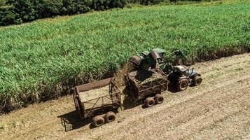 Sugar cane harvest in sunny day in Brazil. Aerial view. photo