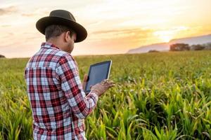 Agronomist holds tablet touch pad computer in the corn field and examining crops before harvesting. Agribusiness concept. Brazilian farm. photo