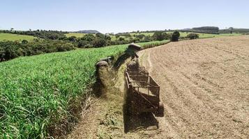 Sugar cane harvest in sunny day in Brazil. Aerial view. photo