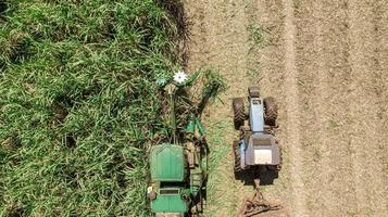 Sugar cane harvest in sunny day in Brazil. Aerial view. photo