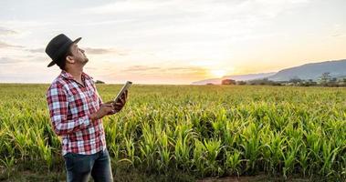 Agronomist holds tablet touch pad computer in the corn field and examining crops before harvesting. Agribusiness concept. Brazilian farm. photo