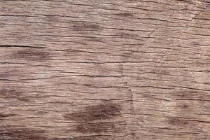 Surface eroded by time, old wood background. photo