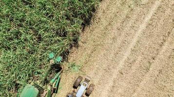 Sugar cane harvest in sunny day in Brazil. Aerial view. photo