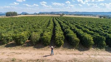 joven agricultora revisando su plantación de café. agricultor brasileño. día del agrónomo. foto