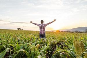 libertad agricultor brasileño parado en la granja verde con gratitud. foto